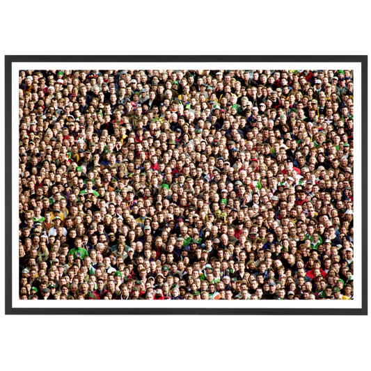 Public de Lansdowne Road, 1999