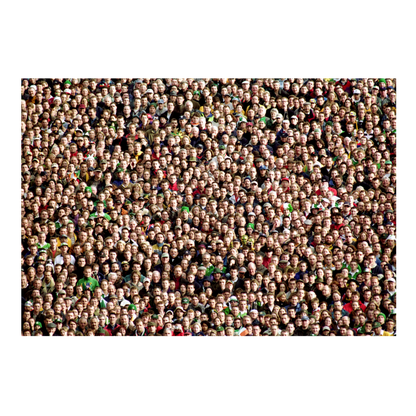 Public de Lansdowne Road, 1999