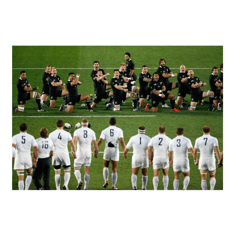 Les Bleus face au Haka, 2011