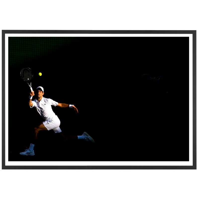 Djokovic en pleine lumière à Wimbledon, 2019