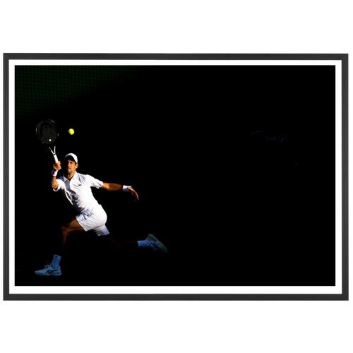 Djokovic en pleine lumière à Wimbledon, 2019