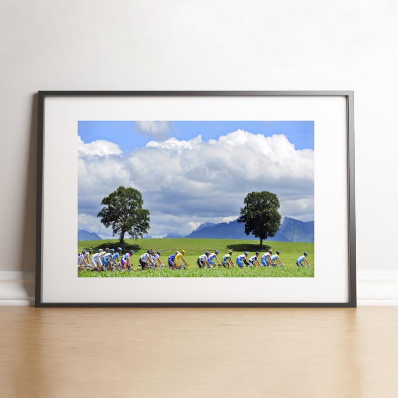 The Tour peloton in front of the mountains, 2009