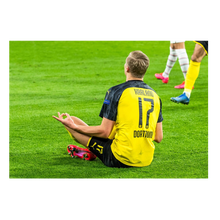 Charger l'image dans la galerie, Célébration zen d'Erling Haaland, 2020