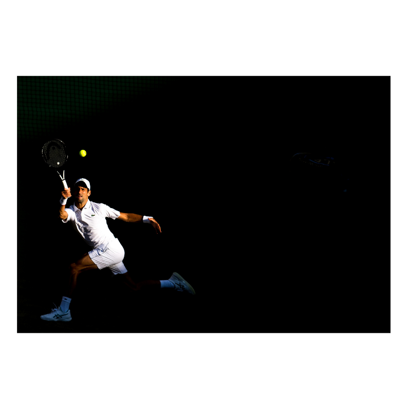 Djokovic en pleine lumière à Wimbledon, 2019