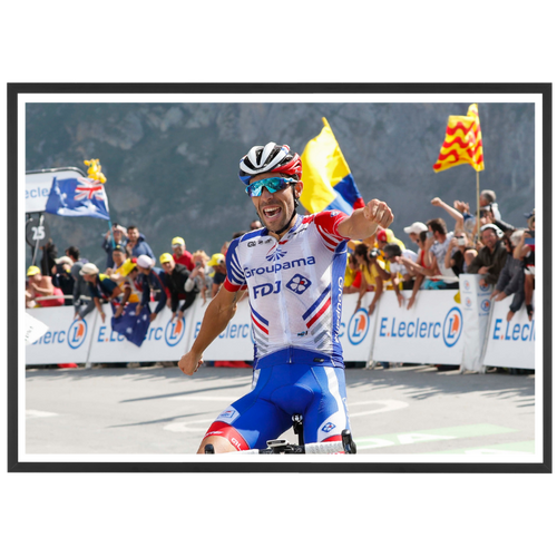 Pinot l'emporte au Tourmalet, Tour de France 2019