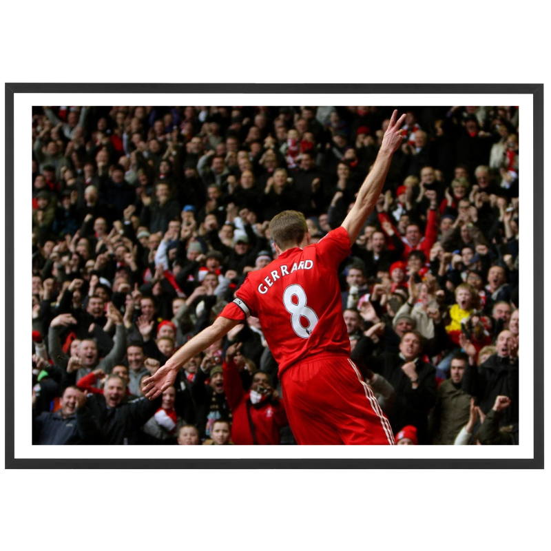 Steven Gerrard, 2010
