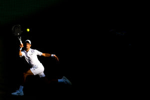 Djokovic en pleine lumière à Wimbledon, 2019