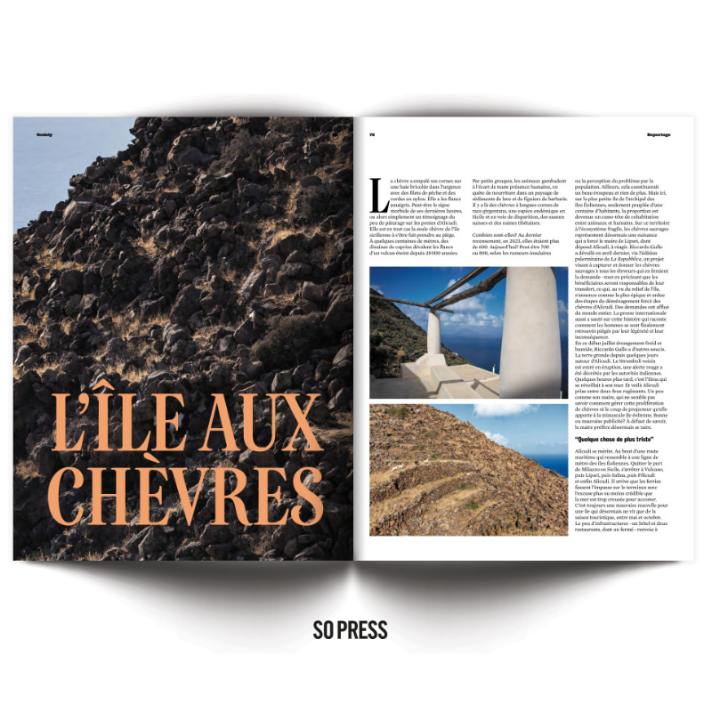 Society #237 - L'affaire Yvon Gérard, le notaire disparu