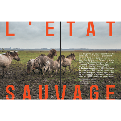 Society Best Of Nature, Vie Sauvage et Grands Espaces