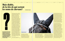 Charger l'image dans la galerie, Magazine Dada n°1